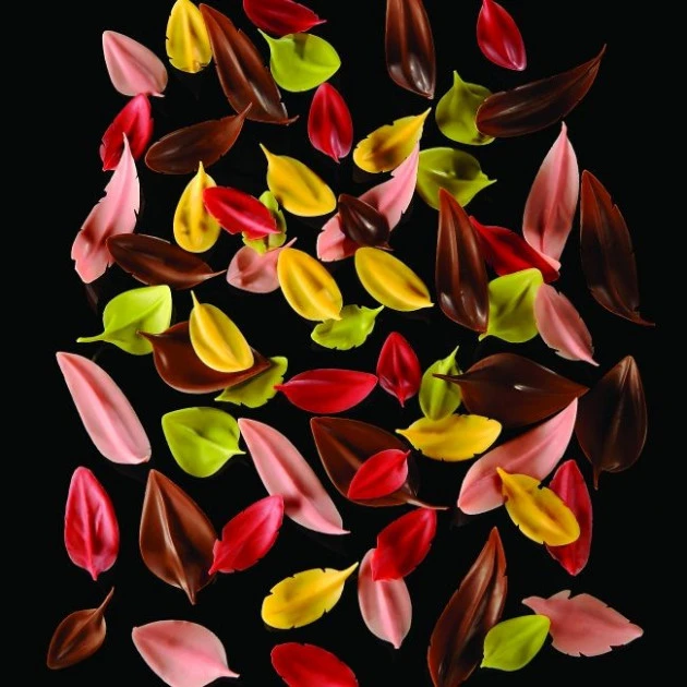 Couteau Inox Feuille 4,2 X 2,2 Cm Flychoc Pavoni â Image 2