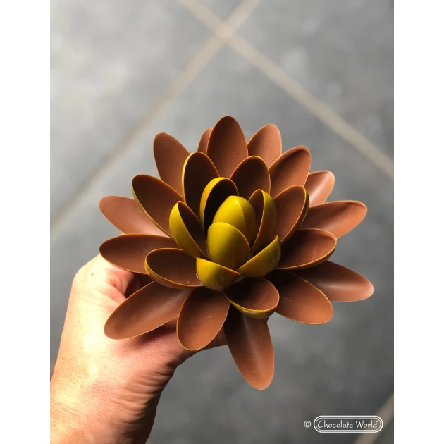 Moule Chocolat Lentille Oblique 62,5 Mm (x14) Chocolate World – Image 3