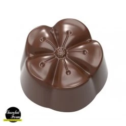 Chocolat Form Moule Chocolat Mochi 2,8 Cm (x21) Chocolate Form