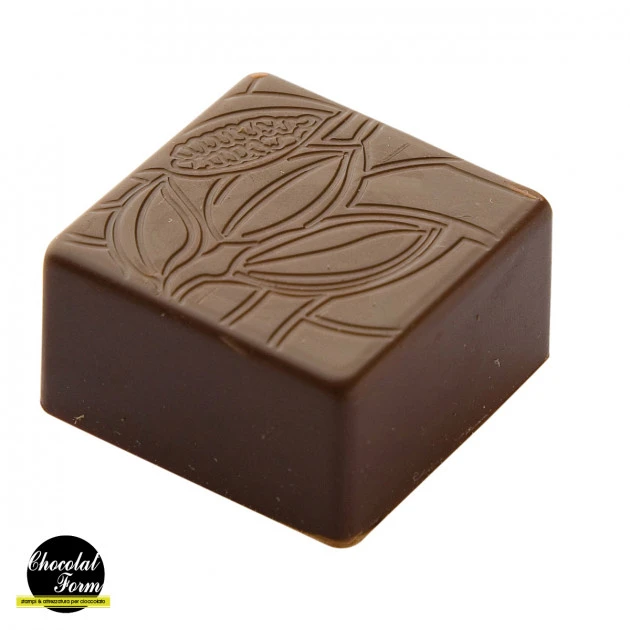 Moule Chocolat Praline Carrée Fève 2,5 Cm (x24) Chocolat Form 3 Moule Chocolat Praline Carrée Fève 2,5 Cm (x24) Chocolat Form