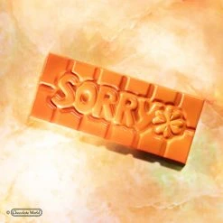 Moule Chocolat Tablette Sorry (x4) Chocolate World -Pavoni shop moule chocolat tablette sorry x4 chocolate world 3