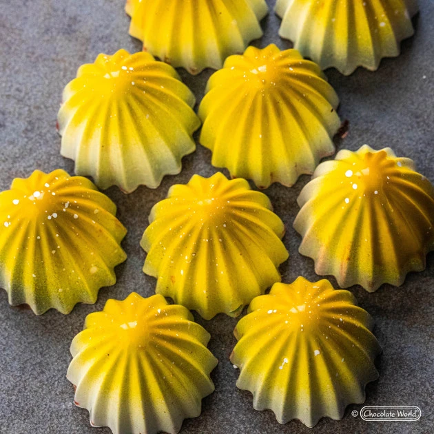 Moule Chocolat The Juicer 3 Cm (x21) Chocolate World â Image 5