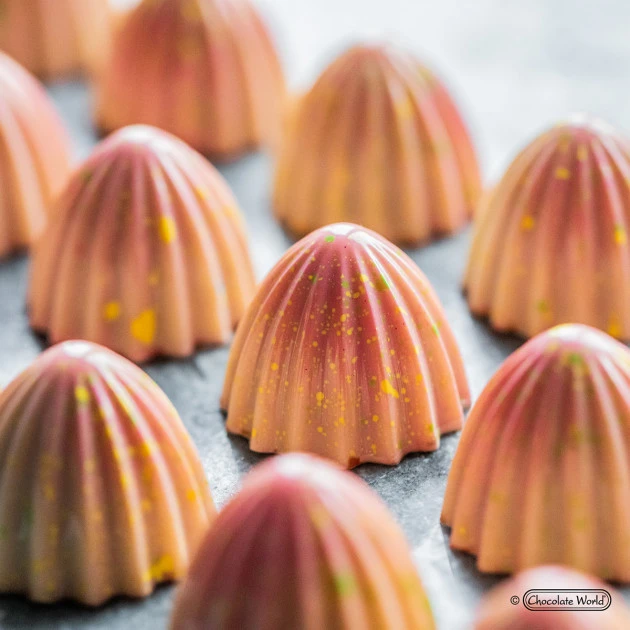 Moule Chocolat The Juicer 3 Cm (x21) Chocolate World â Image 6