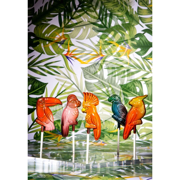 Moule Sucette Chocolat Oiseau Tropical (x5) Chocolate World – Image 3